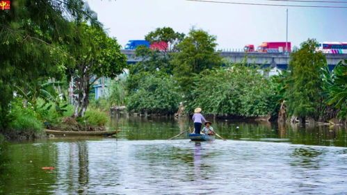 阳江旅游景点大全：探访岭南水乡的魅力与奇观