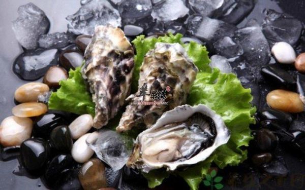 轻松掌握海蛎子清洗技巧，畅享健康美食