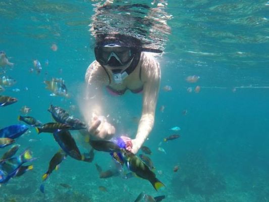沙巴旅游攻略：深度潜水体验与自然生态游
