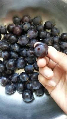 洗葡萄的正确方法,吃葡萄需要剥皮吗？如果不想剥皮，该如何清洗葡萄？