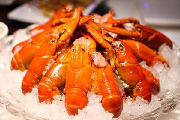 澳洲龙虾、花龙虾、澳洲蓝龙，哪种大龙虾最美味？