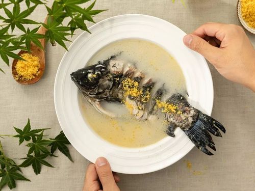 提鲜又丰盛的鱼汤做法，大厨都在用的秘笈