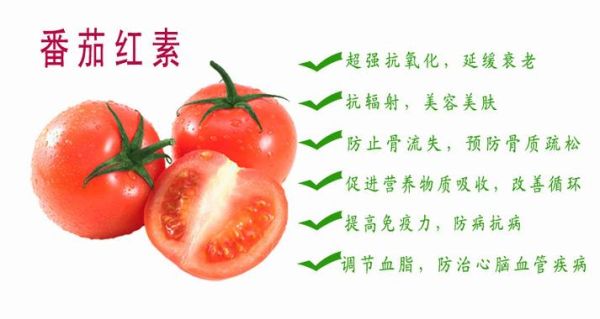 摘取西红柿皮的营养奥秘，番茄皮中的维生素、抗氧化物质影响