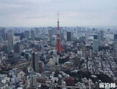 东京塔和天空树的对比-哪一个更有趣