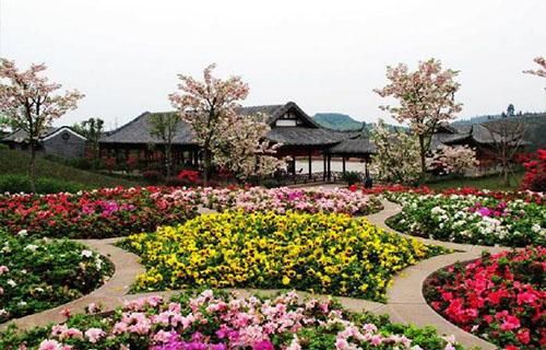 新津县的花舞人间景区的门票和优惠在中国旅游日